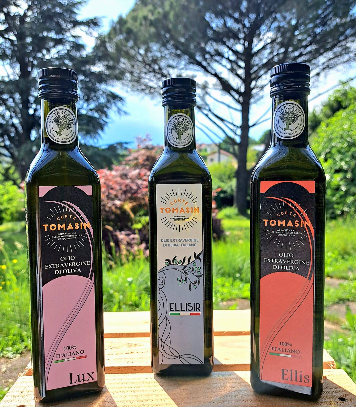 Die Olivenöle Extra Vergin von Corte Tomasin haben hohen Polyphenolgehalt