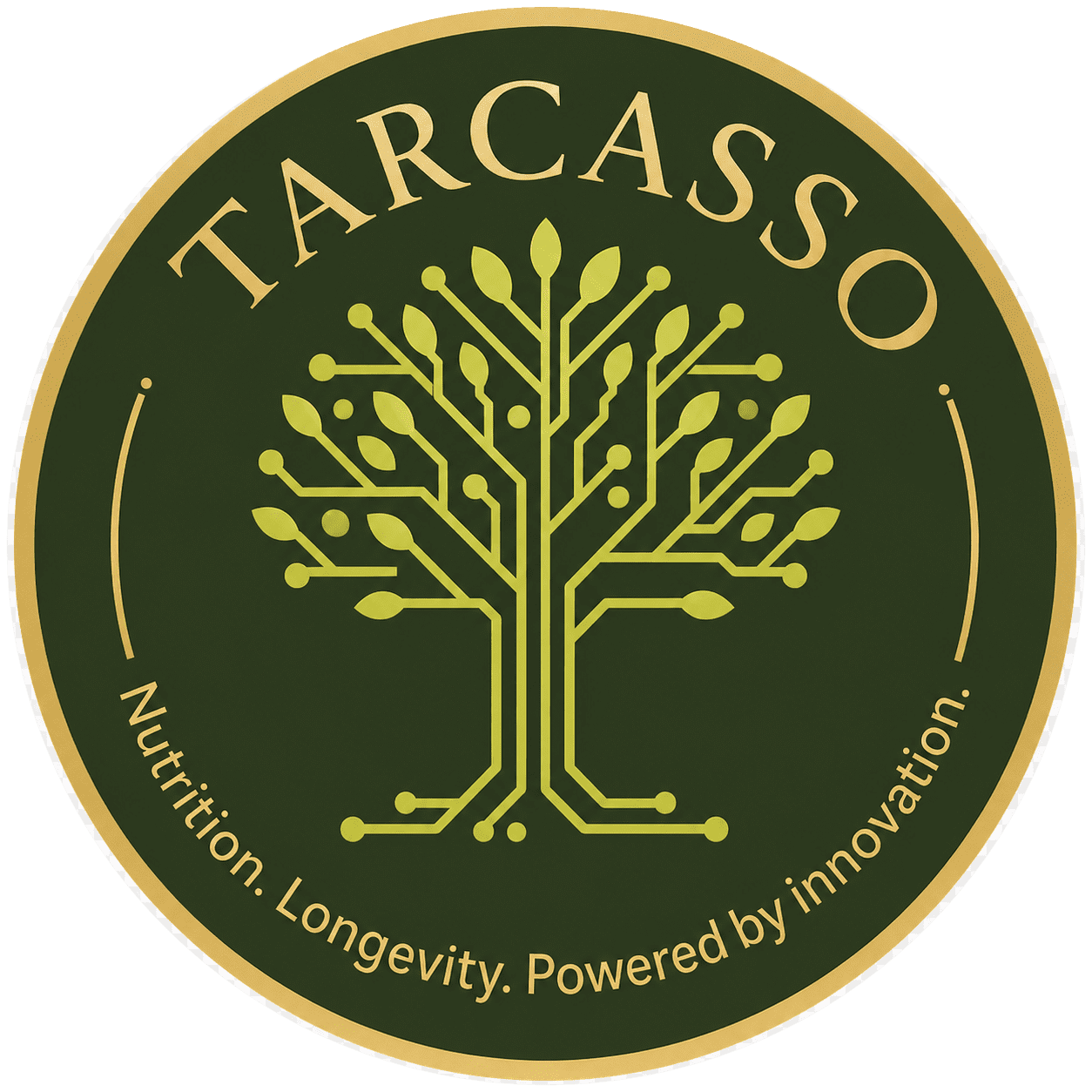 TarCasso logo